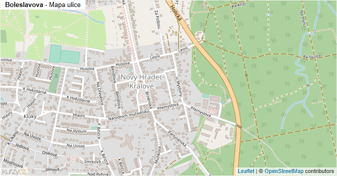 Boleslavova - mapa ulice