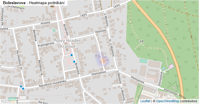 Boleslavova - mapa podnikání