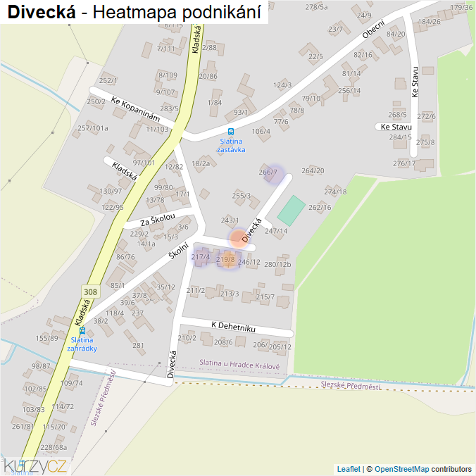 Mapa Divecká - Firmy v ulici.