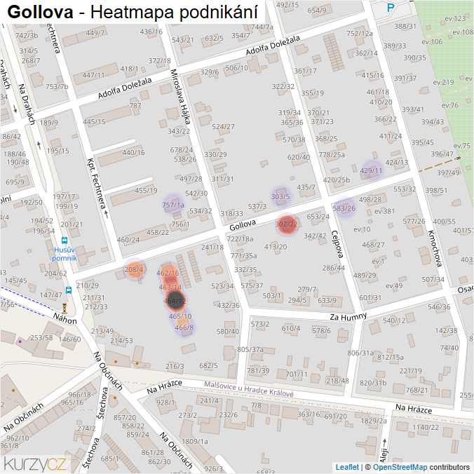 Mapa Gollova - Firmy v ulici.