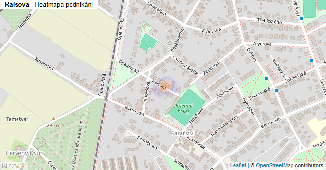 Raisova - mapa podnikání