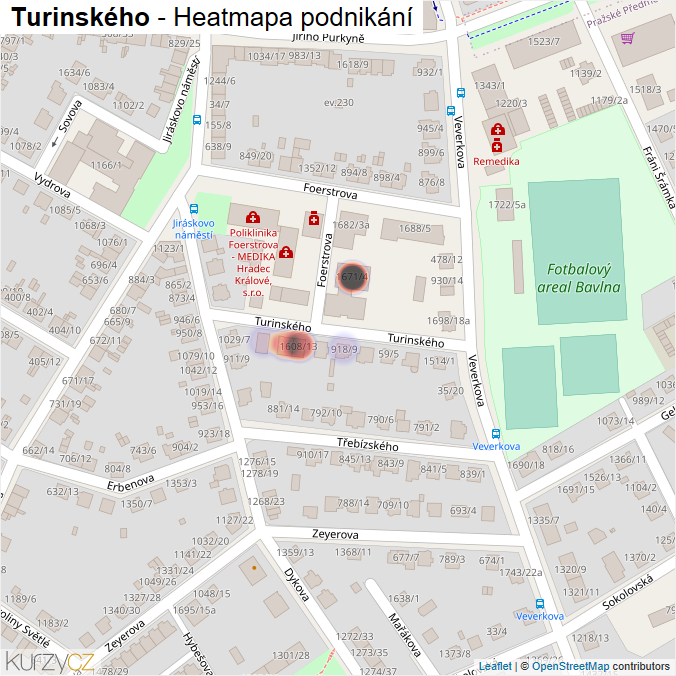 Mapa Turinského - Firmy v ulici.