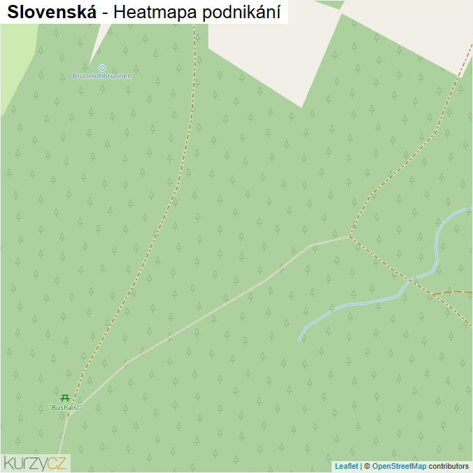 Mapa Slovenská - Firmy v ulici.