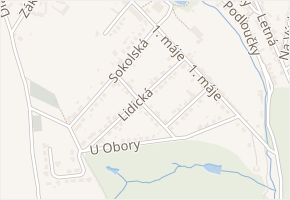 Lidická v obci Hrotovice - mapa ulice