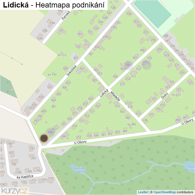 Mapa Lidická - Firmy v ulici.