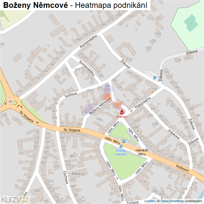 Mapa Boženy Němcové - Firmy v ulici.