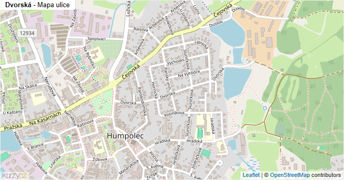 Dvorská - mapa ulice