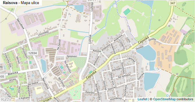 Raisova - mapa ulice