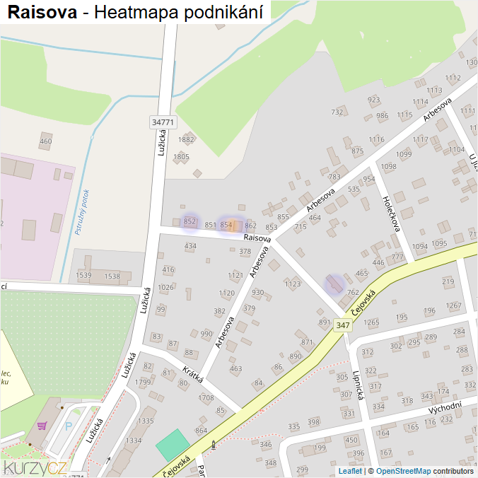 Mapa Raisova - Firmy v ulici.