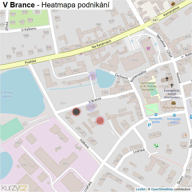 Mapa V Brance - Firmy v ulici.