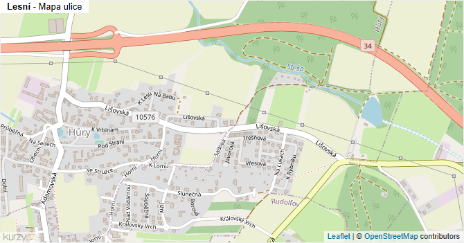 Lesní - mapa ulice