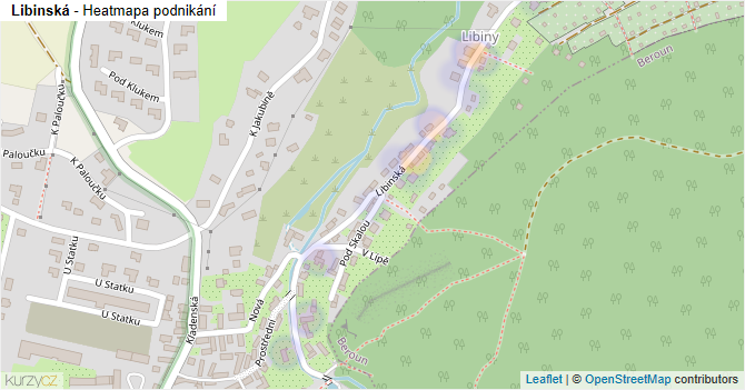 Libinská - mapa podnikání
