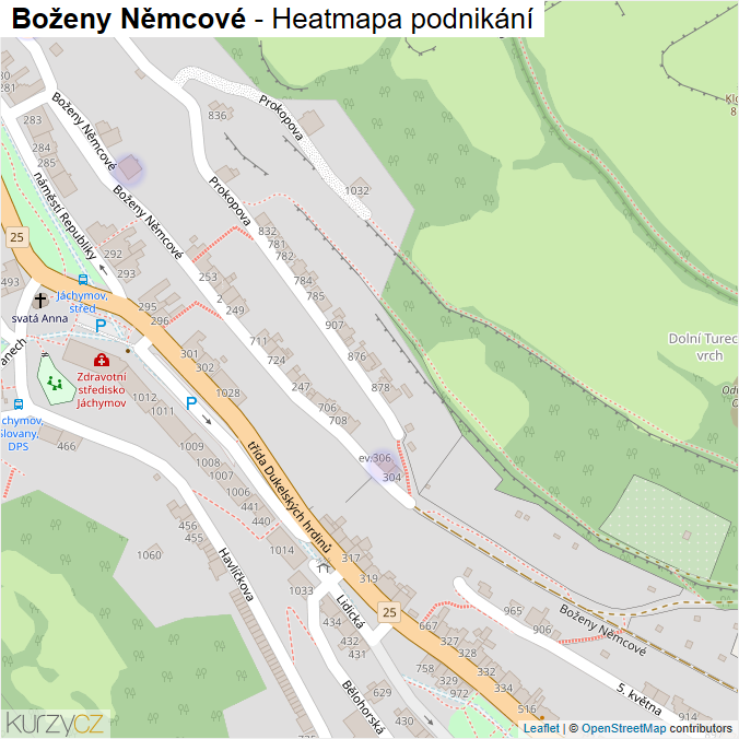 Mapa Boženy Němcové - Firmy v ulici.