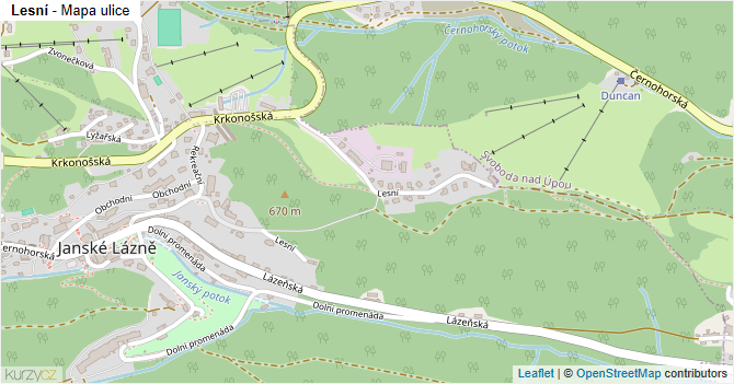 Lesní - mapa ulice