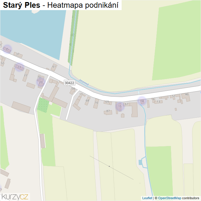 Mapa Starý Ples - Firmy v části obce.