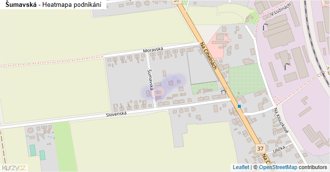 Šumavská - mapa podnikání