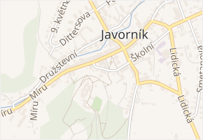 Pod Zámkem v obci Javorník - mapa ulice