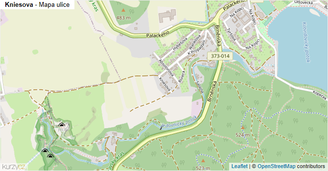 Kniesova - mapa ulice