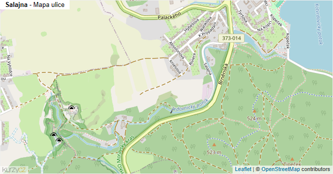 Salajna - mapa ulice