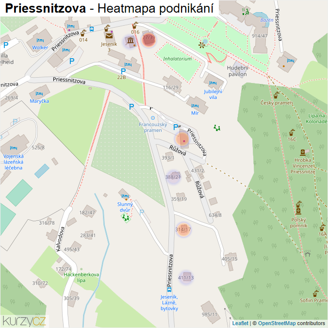 Mapa Priessnitzova - Firmy v ulici.