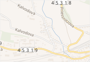 Přímá v obci Jeseník - mapa ulice