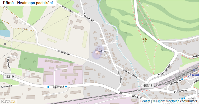 Přímá - mapa podnikání