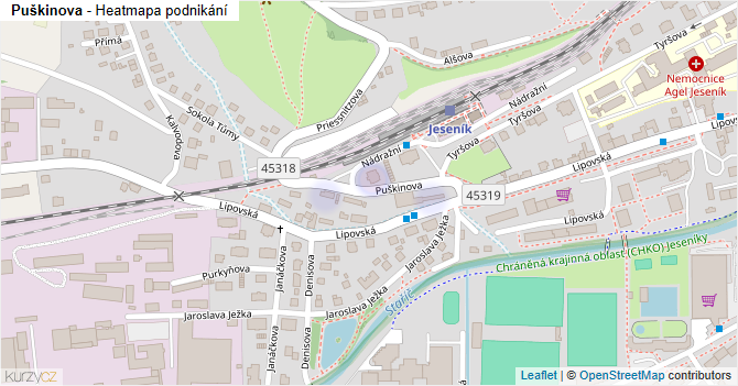 Puškinova - mapa podnikání