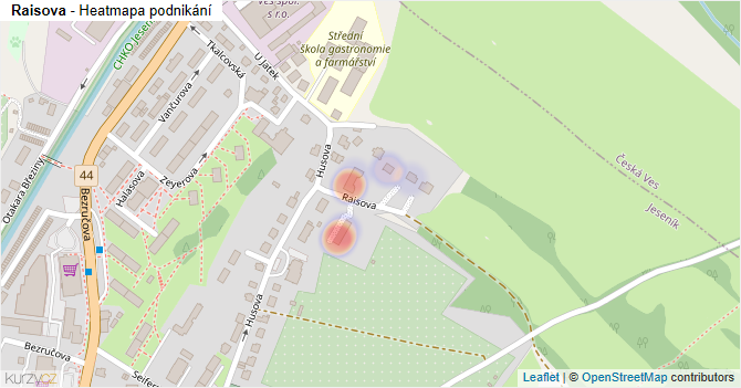 Raisova - mapa podnikání
