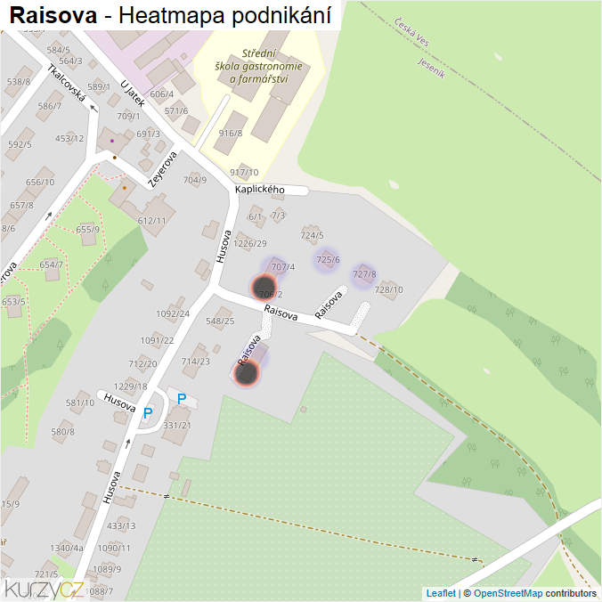 Mapa Raisova - Firmy v ulici.