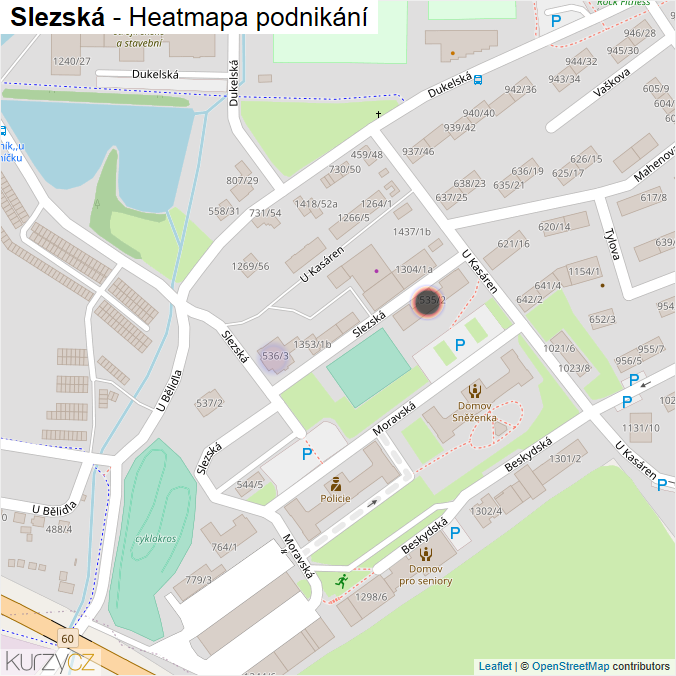 Mapa Slezská - Firmy v ulici.