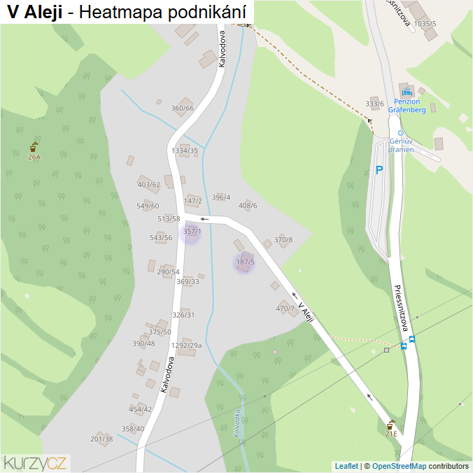 Mapa V Aleji - Firmy v ulici.