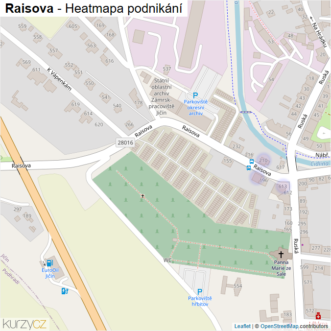 Mapa Raisova - Firmy v ulici.