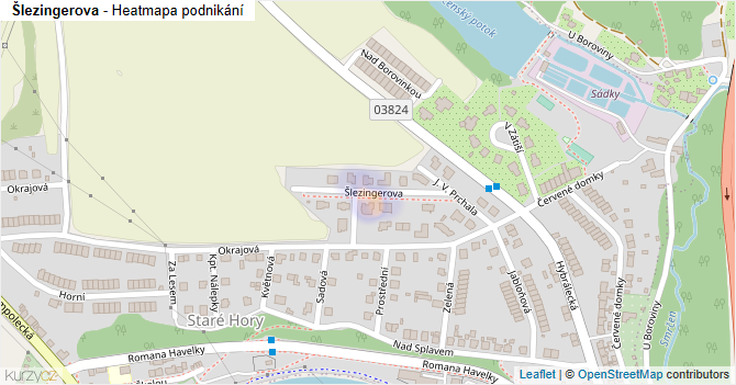 Šlezingerova - mapa podnikání