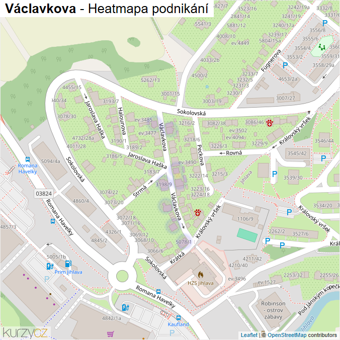 Mapa Václavkova - Firmy v ulici.
