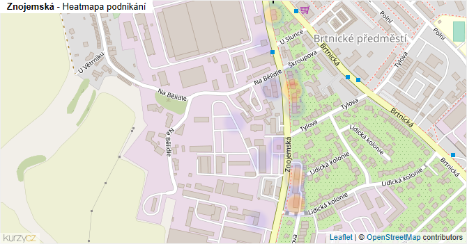Znojemská - mapa podnikání