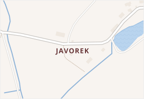 Javorek v obci Jilemnice - mapa části obce
