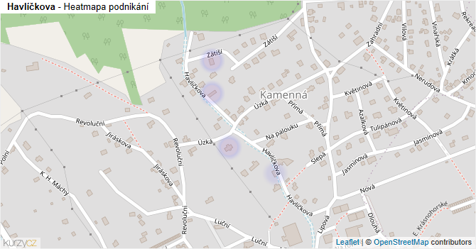 Havlíčkova - mapa podnikání