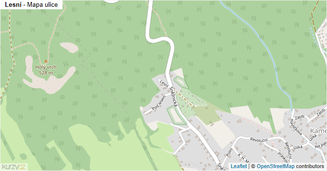 Lesní - mapa ulice