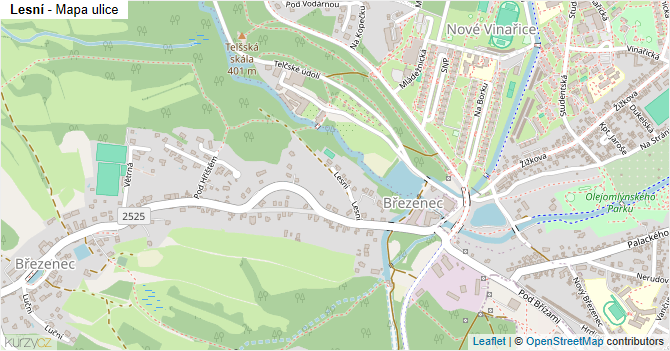 Lesní - mapa ulice