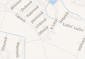 Olšová v obci Jirny - mapa ulice
