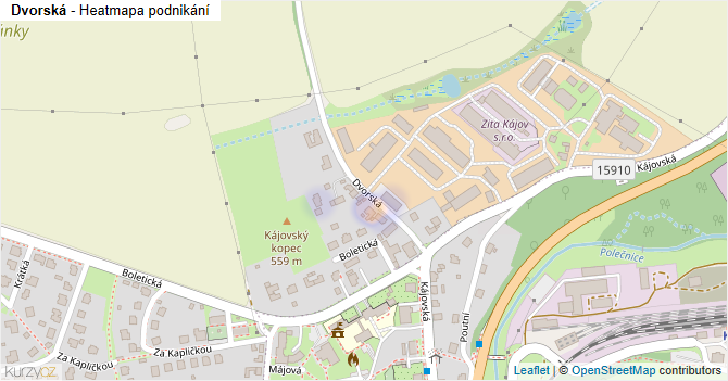 Dvorská - mapa podnikání
