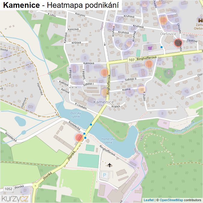 Mapa Kamenice - Firmy v obci.