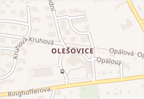 Olešovice v obci Kamenice - mapa části obce