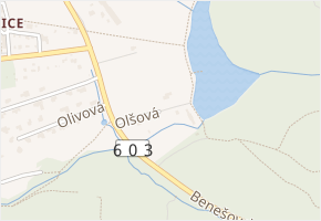 Olšová v obci Kamenice - mapa ulice