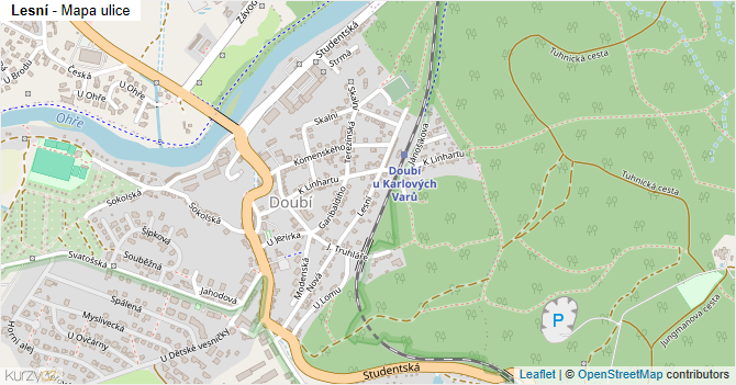 Lesní - mapa ulice