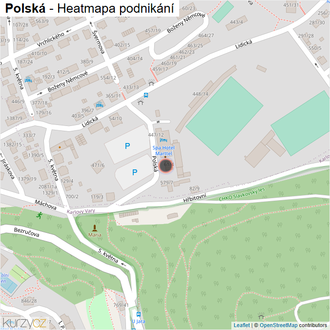 Mapa Polská - Firmy v ulici.