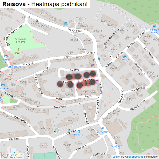 Mapa Raisova - Firmy v ulici.