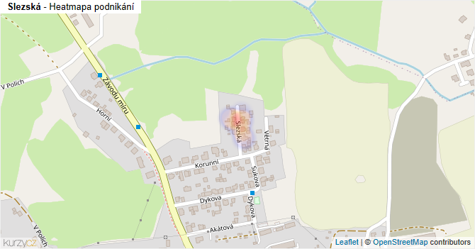 Slezská - mapa podnikání