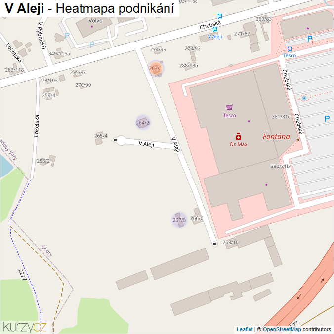 Mapa V Aleji - Firmy v ulici.