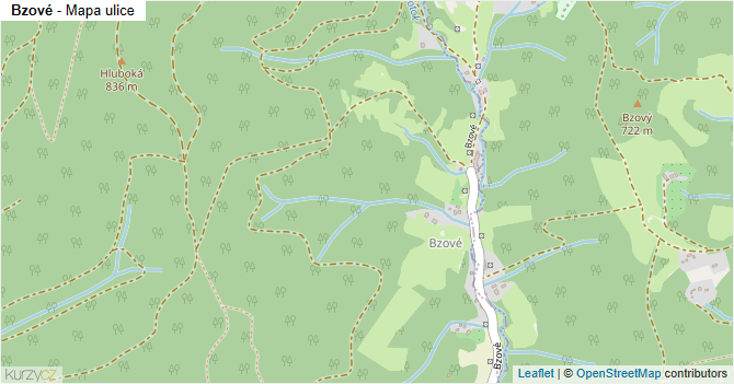 Bzové - mapa ulice